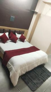 Hotel Krishna Palace - - 1