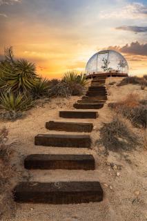 Bedrock Bungalow By The Cohost Company - Yucca Valley - 4