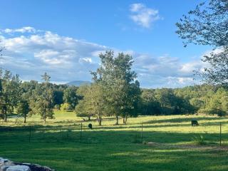 Yonah View King Beds - Wine Country Bliss - Cleveland - 1