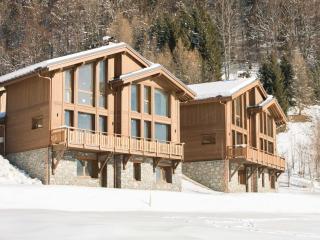 Nice chalet with fireplace in Megève - Praz-sur-Arly - 0