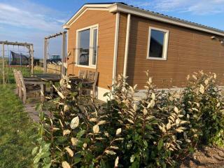 2 adjacent houses with lots of privacy - Tjerkgaast - 4