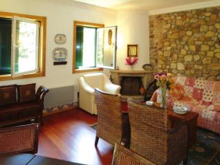 holiday home, Vale de Cambra - Rôge - Vale de Cambra - 9