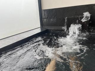 Khu nghỉ dưỡng khoáng nóng Onsen Lynn Times Thanh Thủy Phú Thọ - - 7