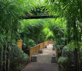 Khu nghỉ dưỡng khoáng nóng Onsen Lynn Times Thanh Thủy Phú Thọ - - 9