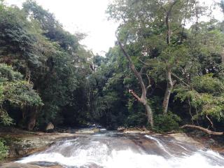 Meemure Homestay - Meemure - 8