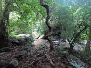 Meemure Homestay - Meemure - 5