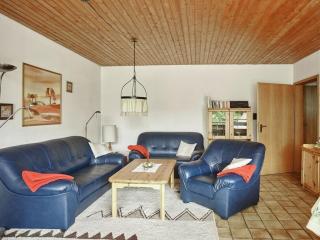 Cozy holiday apartment in the Harz Mountains - Sankt Andreasberg - 1