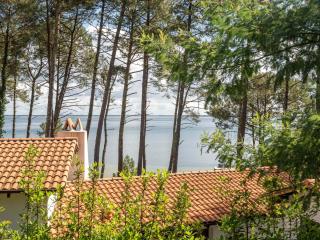 Grande Villa 14 Pers - Vue Imprenable sur Lac - Tranquillité à Biscarrosse - FR-1-319-605 - Biscarrosse - 4