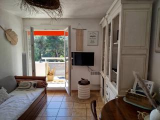 Charmant T2 avec Clim, Parking, et WiFi à Bormes - FR-1-610-108 - Bormes-les-Mimosas - 6