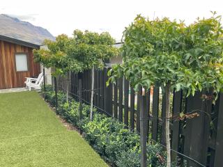 Amber view - Queenstown - 7