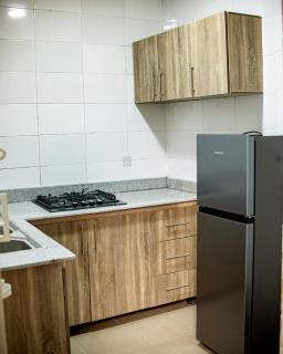 Luxury 2 Bedrooms Apartment Area 11, Abuja - Abuja - 7