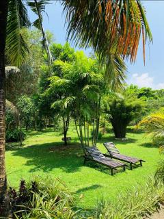 New Holiday Reach - 0