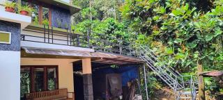 Ferns n' Falls - Chinnakanal - 9