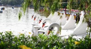 Hotel Veniz - Session - Baguio City - 7