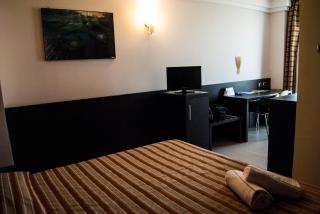 Vercelli Palace Hotel - 3