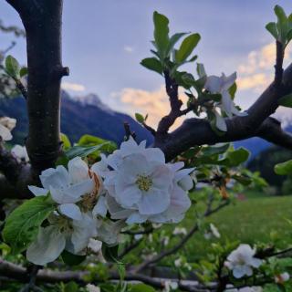 klein&fein - Neustift im Stubaital - 6