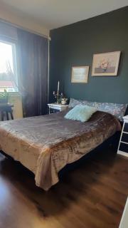 Mökki Luonnonrauhassa - Lemmikkiystävällinen - 2