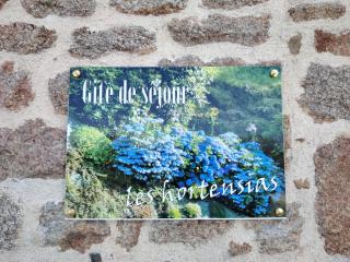 Les Hortensias - La Poultière - 9