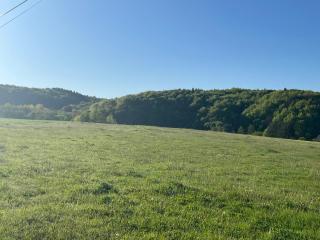 Apartmán Zuzka - 8