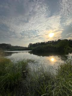Natures Adobe - Nilambūr - 2