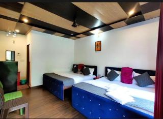 Himalayan tourist cottage - 3