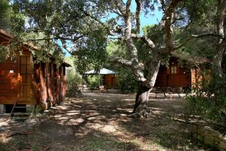 Camping U STABIACCIU - Porto-Vecchio - 2