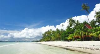 Golden Sam Resort and Restaurant - Panglao - 6