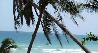Chill Beach Resort - Pathiu - 8