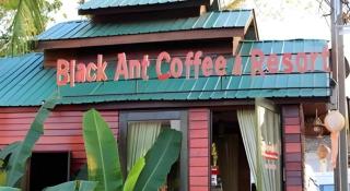 P&P Coffee & Resort Maesariang - - 4