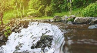 Bumi Ciherang Hotel - Puncak - 1