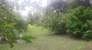 Wenasa Hotel - Anuradhapura - 2