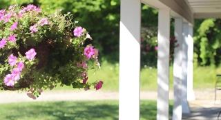 Keuka Lake Motel - Adults Only - Dundee - 8