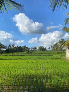 Hening suites Ubud - Mantaak - 8