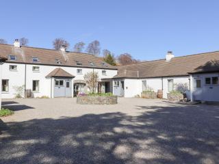 Cedar - Newtonmore - 9