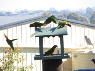 Mala Retreat Sleeps 7, Two Bedrooms & Ensuites - East Maitland - 5