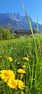 Das Kaiserwohl Chalet - Going am Wilden Kaiser - 1
