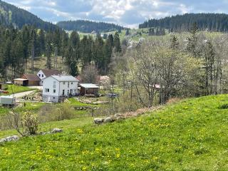 Ferienwohnung am Hirtenpfad - 0