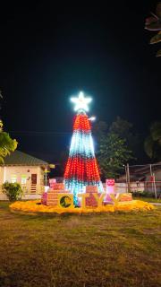 The Ylang Ylang Events Place - Mangatarem - 0