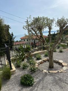 Aura Adriatica Olive - Luxury Apartment, private pool, sea view, parking - 1