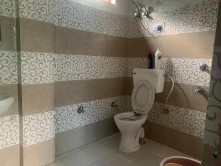 River side home stay Barot - Jhatingr - 7