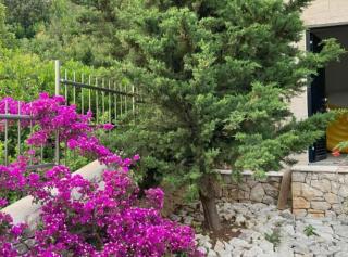 Beachfront Luxury Villa with Private Pool and Stunning Sea Views - Korčula - 4
