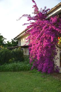 Villa Collebelvedere - Near Rome with Home Restaurant - Fara in Sabina - 7