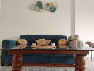 Chic Comfort long & short term - Pune - 0