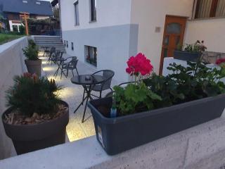 Pension TTT - Bled - 8