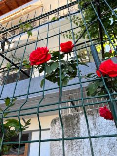 Alex Apartments - Sarandë - 9