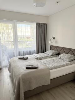 Deluxe Maironio namai Palangos centre! - Palanga - 1