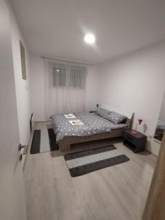 Apartman Una - Soko Banja - 3