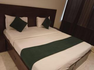 Hotel Nysha Plaza Near IGI Airport Delhi - Nova Deli - 8