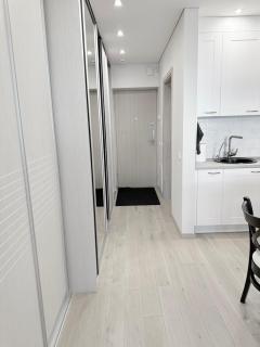 Deluxe Maironio namai Palangos centre! - 4