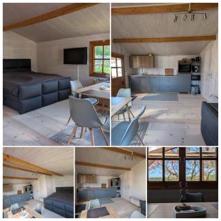Modernes Holzhaus direkt am Wutzsee - Lindow - 6